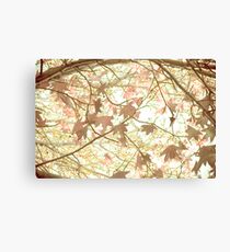 dancing leaves Canvas Print