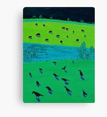 Black currawongs Canvas Print