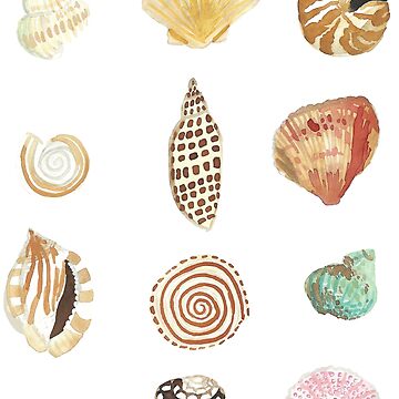 Artwork thumbnail, Shell Collection by jenbucheli