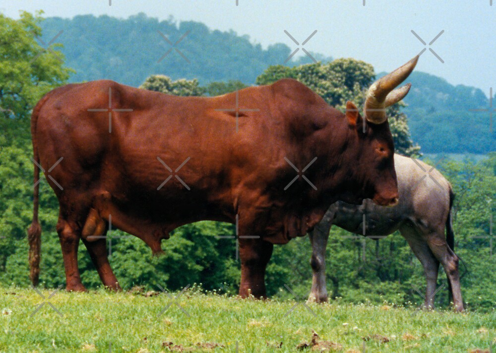 brahman bull figurine