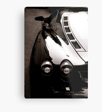 SVELTE Metal Print