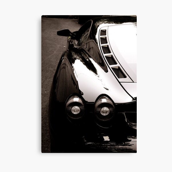 SVELTE Canvas Print