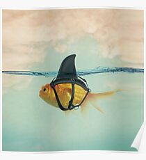 Brilliant Disguise (RM) Poster