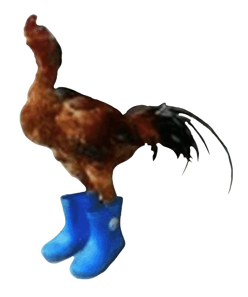 "he boot too big for he gotdamn feet" by PrussianDragon Redbubble