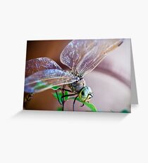 Dragon Greeting Card