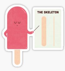 Anatomy Sticker