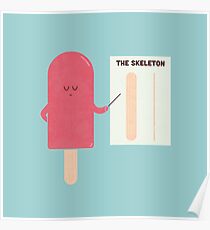 Anatomie Poster