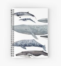 Cuaderno de espiral Ballenas y ballenas bebé
