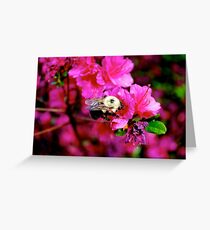 Nectar Greeting Card