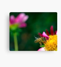 Alighting. Canvas Print