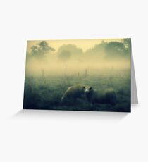 Dreaming of Sheep - JUSTART © Greeting Card