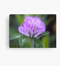 Clever Clover Canvas Print