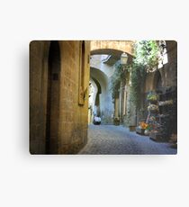 Laneway Metal Print