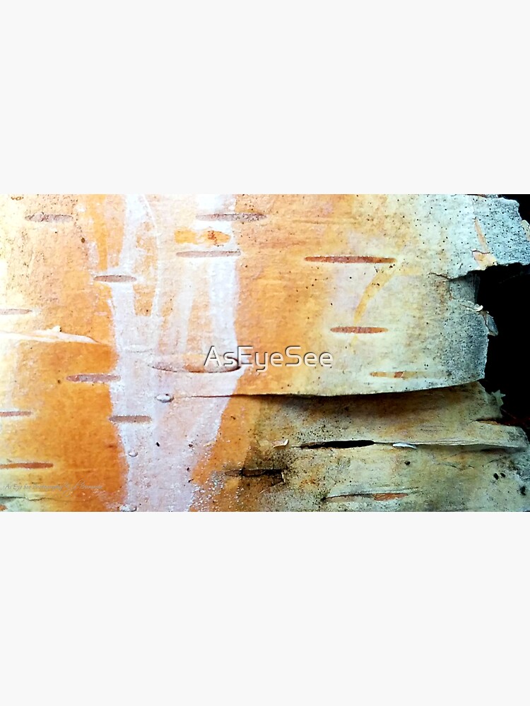 Sun of a Birch by AsEyeSee