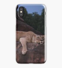 Lazy Lion iPhone Case