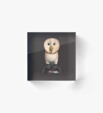 lovely owl Acrylic Block