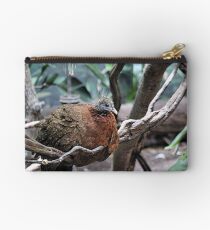 ROOSTING Studio Pouch