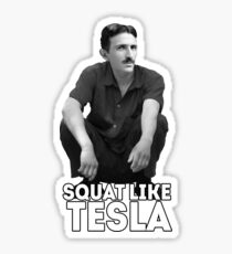 Tesla Squatting Sticker
