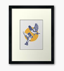 Sparrows Framed Print