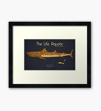 The Life Aquatic - Jaguar Shark Framed Print