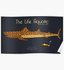 The Life Aquatic - Jaguar Shark Poster