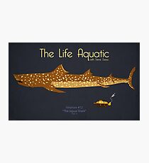 La vie aquatique - Jaguar Shark Impression photo
