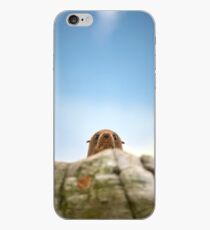 Peekaboo iPhone Case