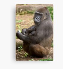No more pictures please Metal Print