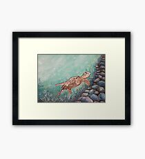 Watercolor art Sea turtle turquoise nature Framed Print