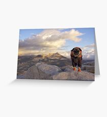 All Dressed Up and Everywhere to Go Greeting Card