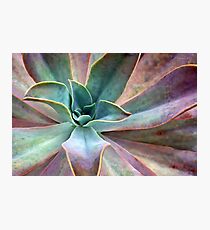 Organic Beauty Photographic Print
