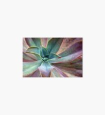 Organic Beauty Art Board