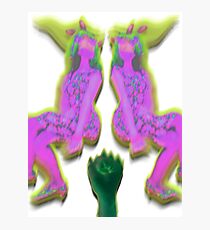 sex Photographic Print
