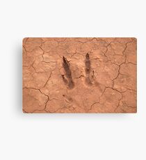 Outback Visitor Canvas Print