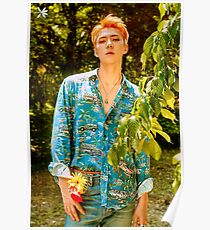 EXO KO KO BOP SEHUN Poster