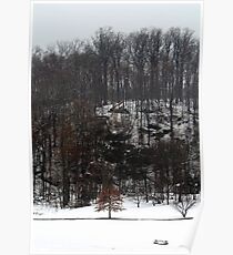 Spring Snowstorm Poster