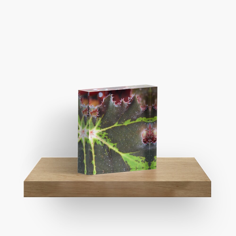 Red Mist at Dawn Acrylic Block