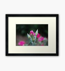 Flower Framed Print