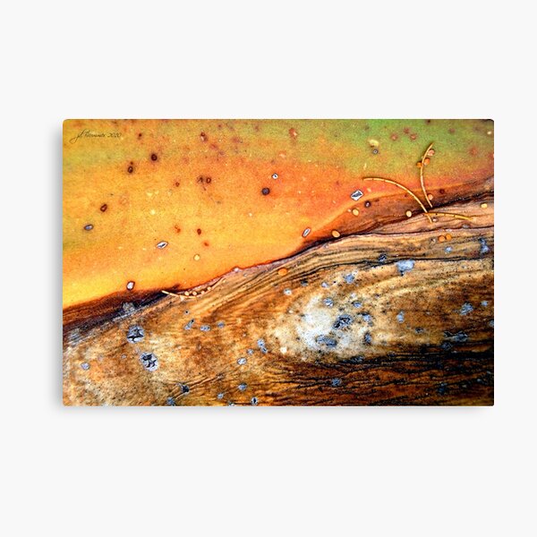 Whist 'n Weary Canvas Print