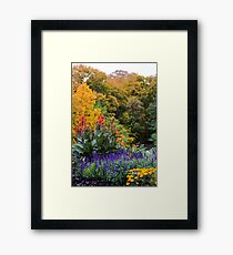 Autumn Landscape Framed Print