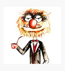 Suave Animal The Muppets Photographic Print