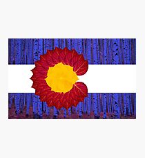 aspen tree Colorado flag Photographic Print