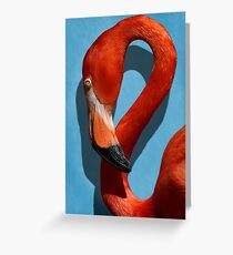 Curves, A Head Greeting Card