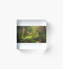 Legend Of Zelda link riding Epona Acrylic Block