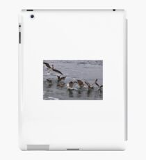 Competition iPad Case/Skin