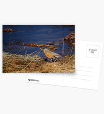 Be Very Very Quiet Postcards