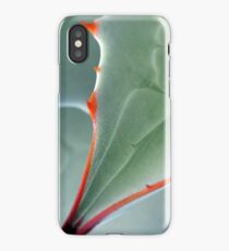 Aerial View iPhone Case