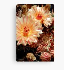 Candy Stripes Canvas Print