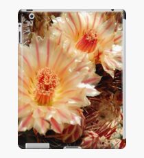 Candy Stripes iPad Case/Skin