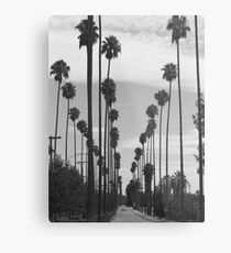 Vintage Black & White California Palm Trees Photo Metal Print